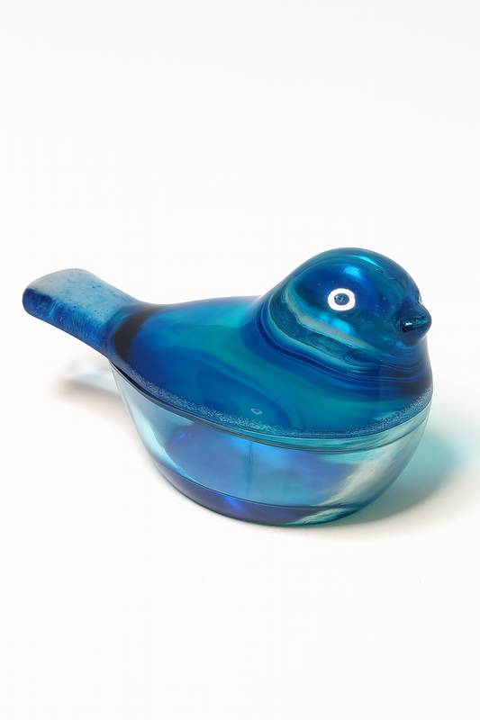 Boîte Oiseau Bleu – Nuance Boréale (défaut léger)