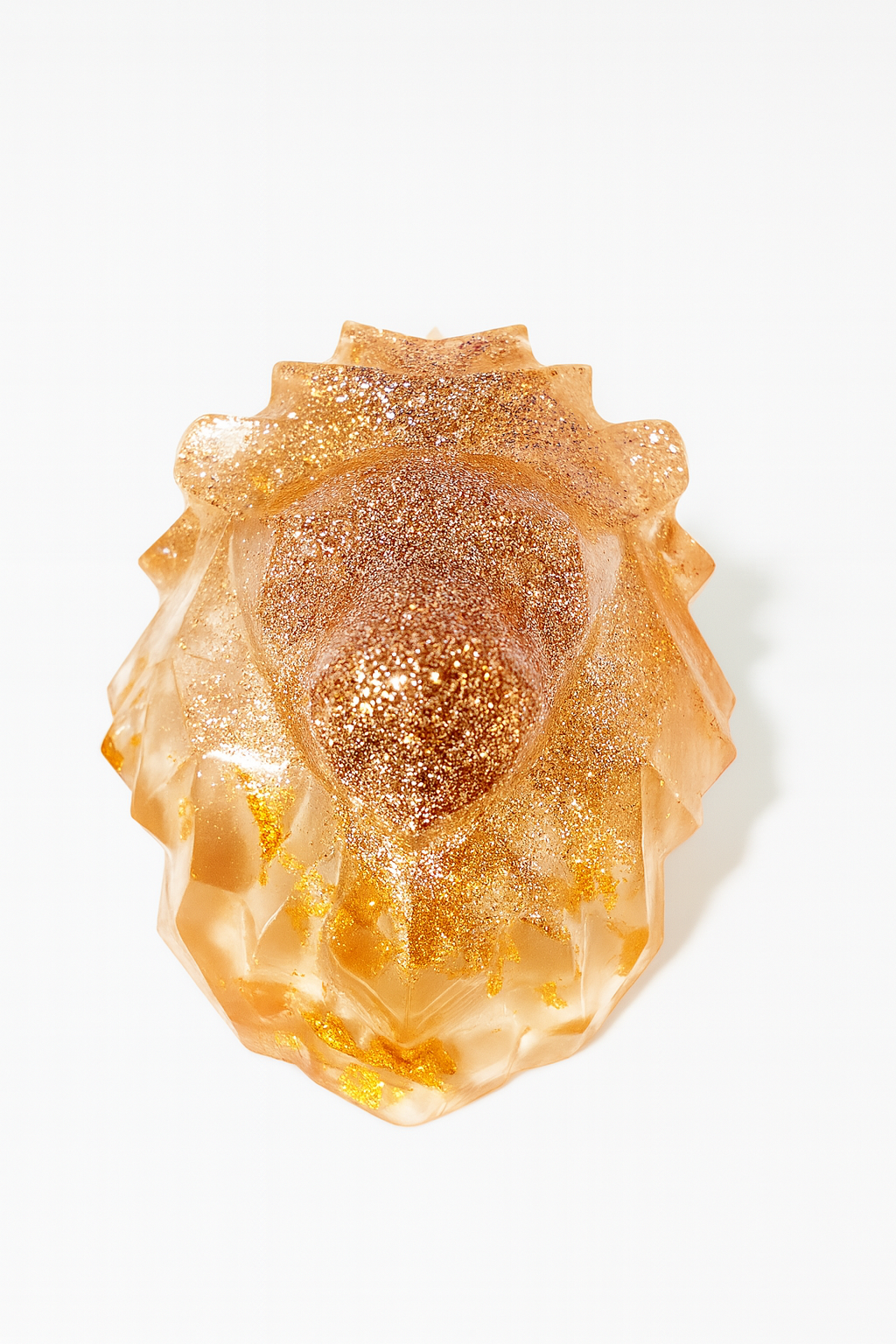 Têtes de Lion – Série Férocement Douce